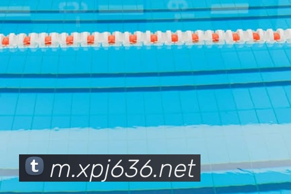 xpj全站App